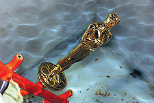an oscar in a pool of water